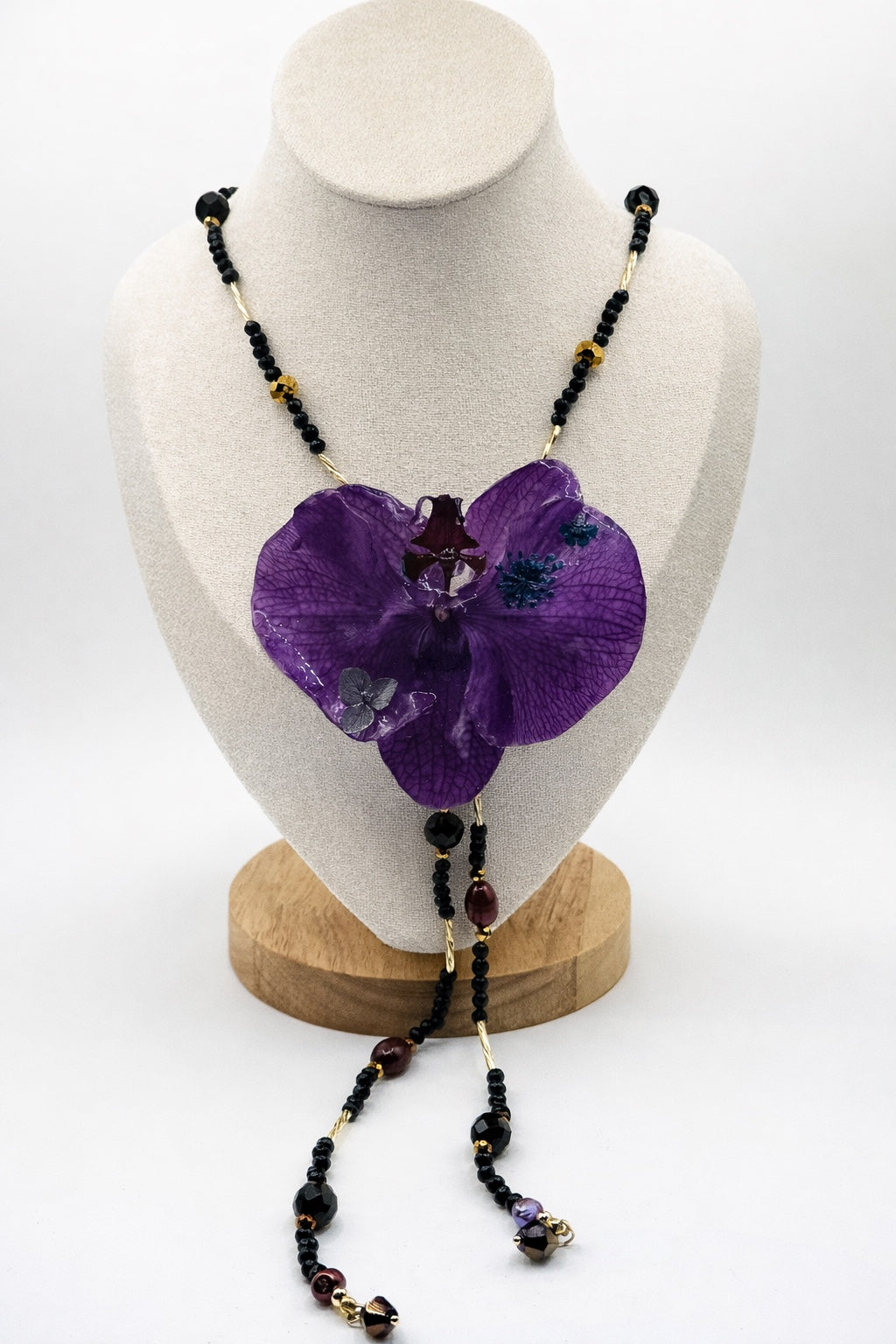 Midnight Orchid