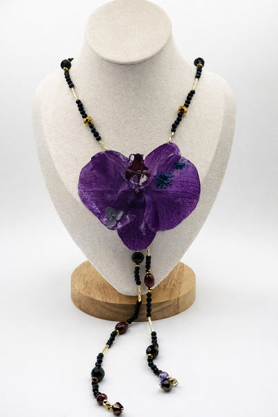 Midnight Orchid