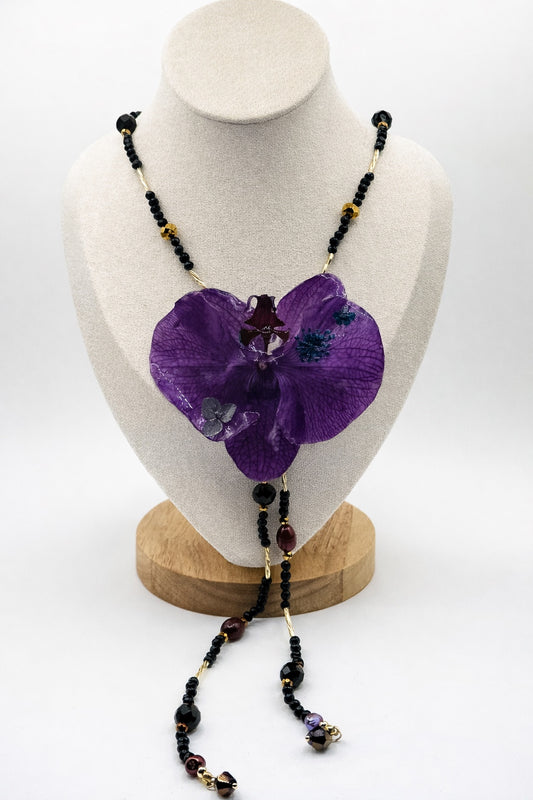 Midnight Orchid